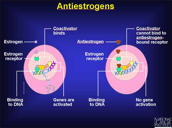 ANTIESTROGENS PCT